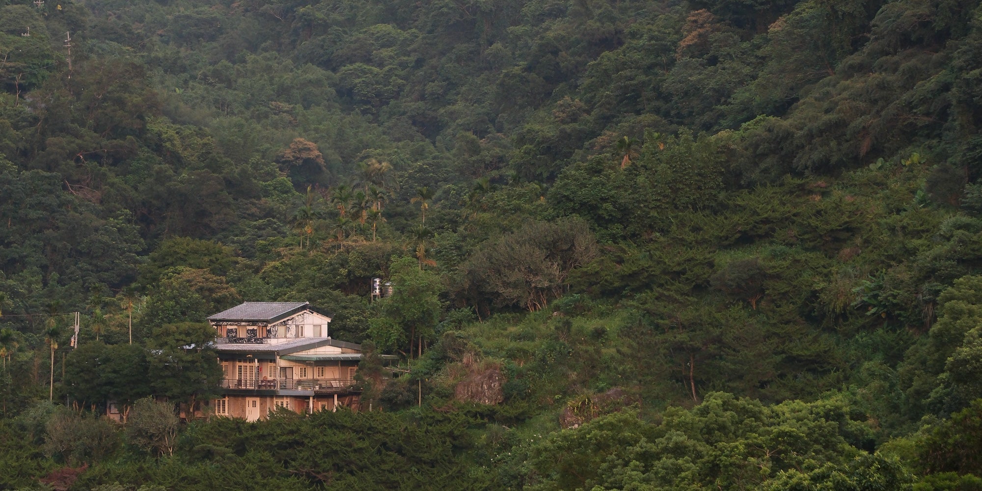 Oolong Tie Guan Yin: búsqueda en origen y qué lo hace especial