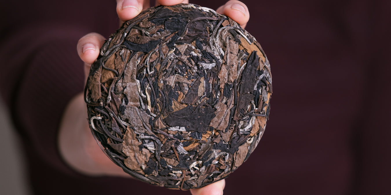 Té Blanco: Todo lo que necesitas saber