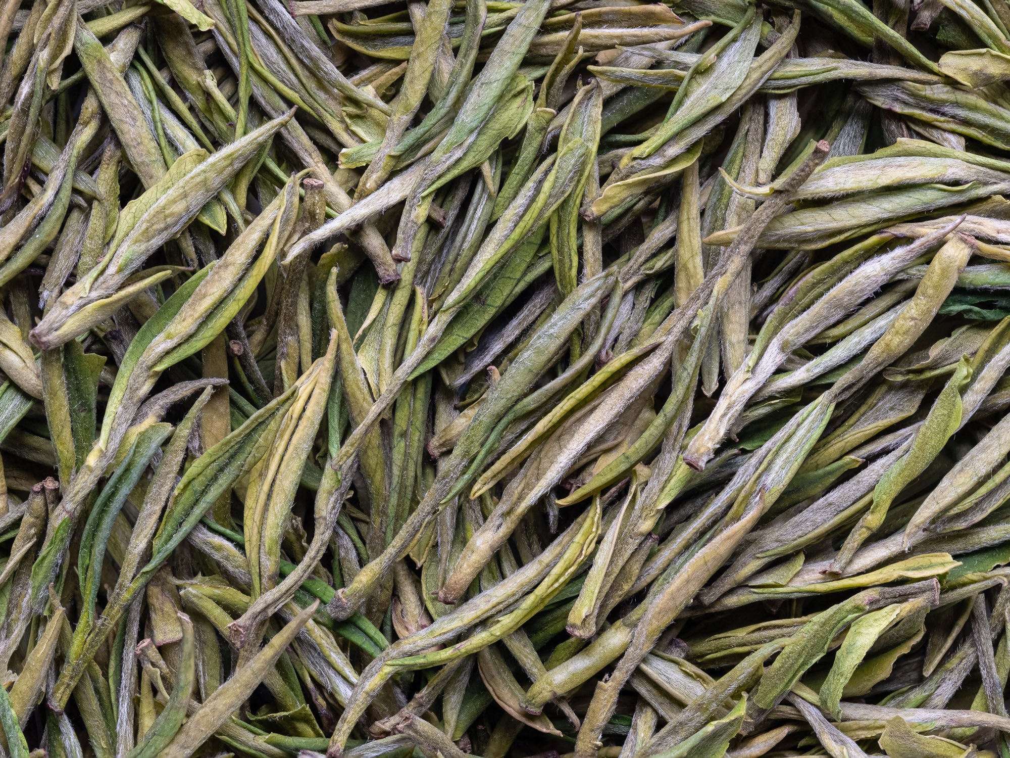 Anji Bai Cha Green Tea