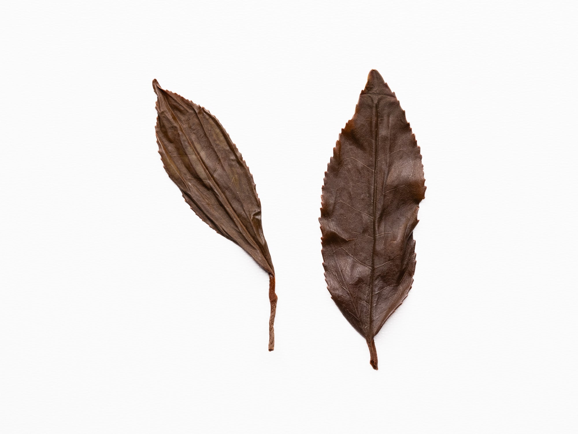 Hojas infusionadas de té negro de Tongmuguan de árboles centenarios estilo floral