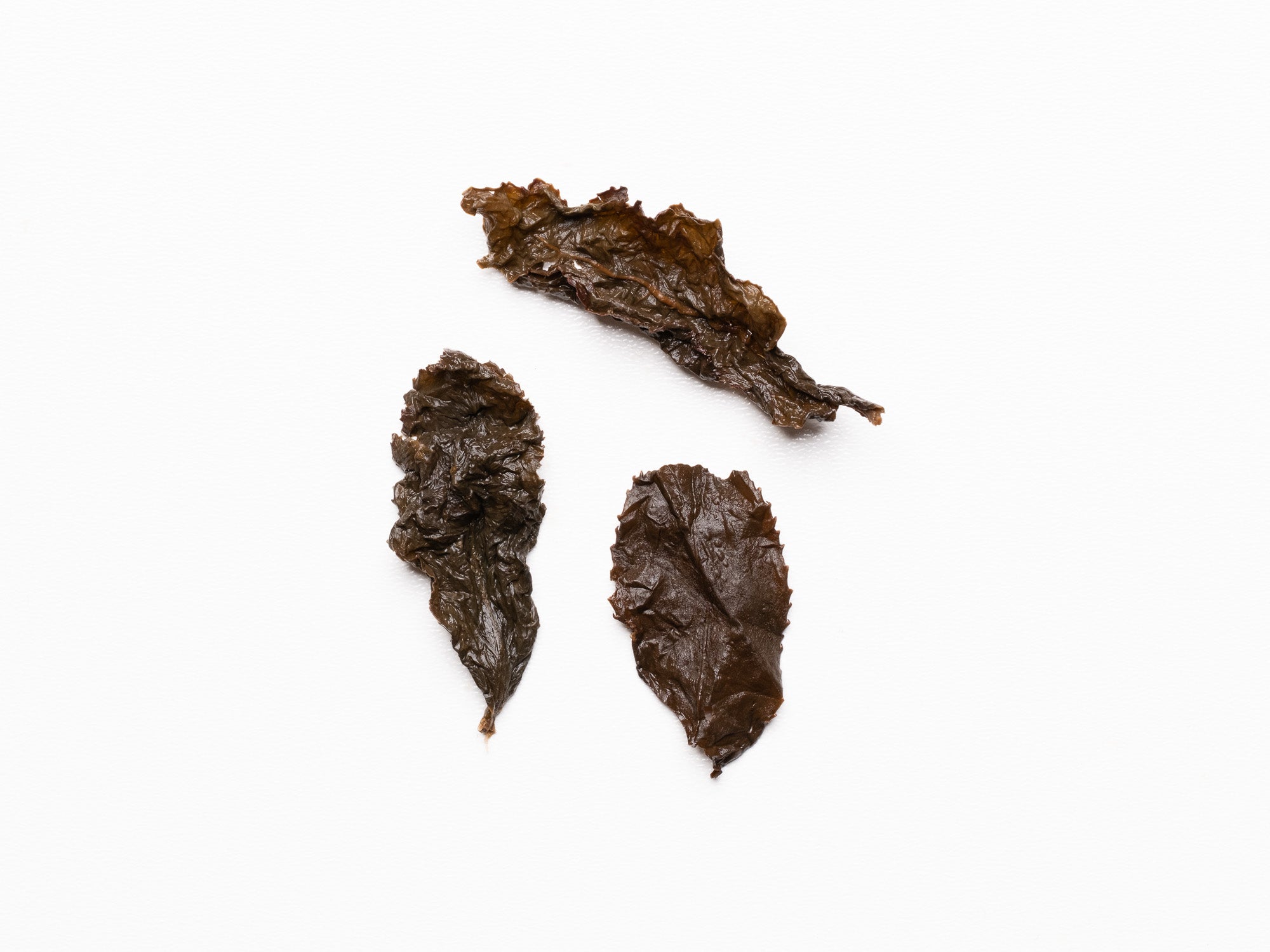 Hojas infusionadas de té oolong Dong Ding envejecido