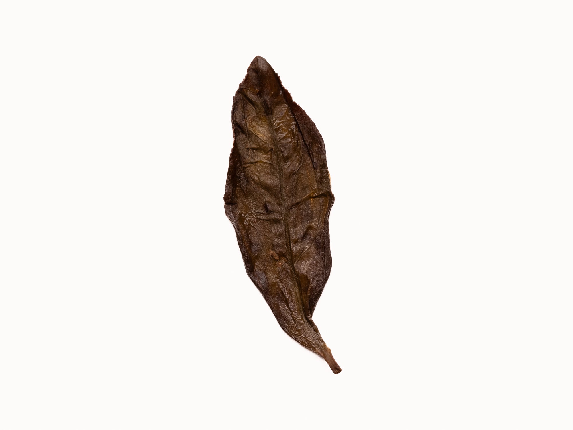 Hoja de té Oolong Dancong Ya shi xiang