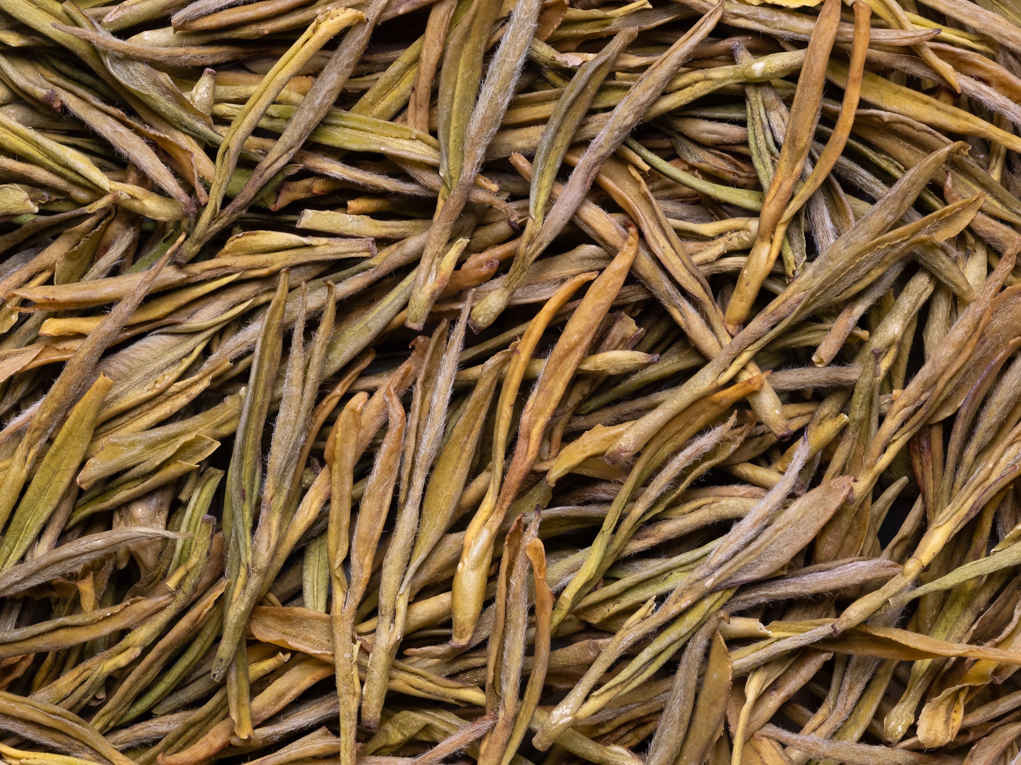 Huang Jin Ya Green Tea