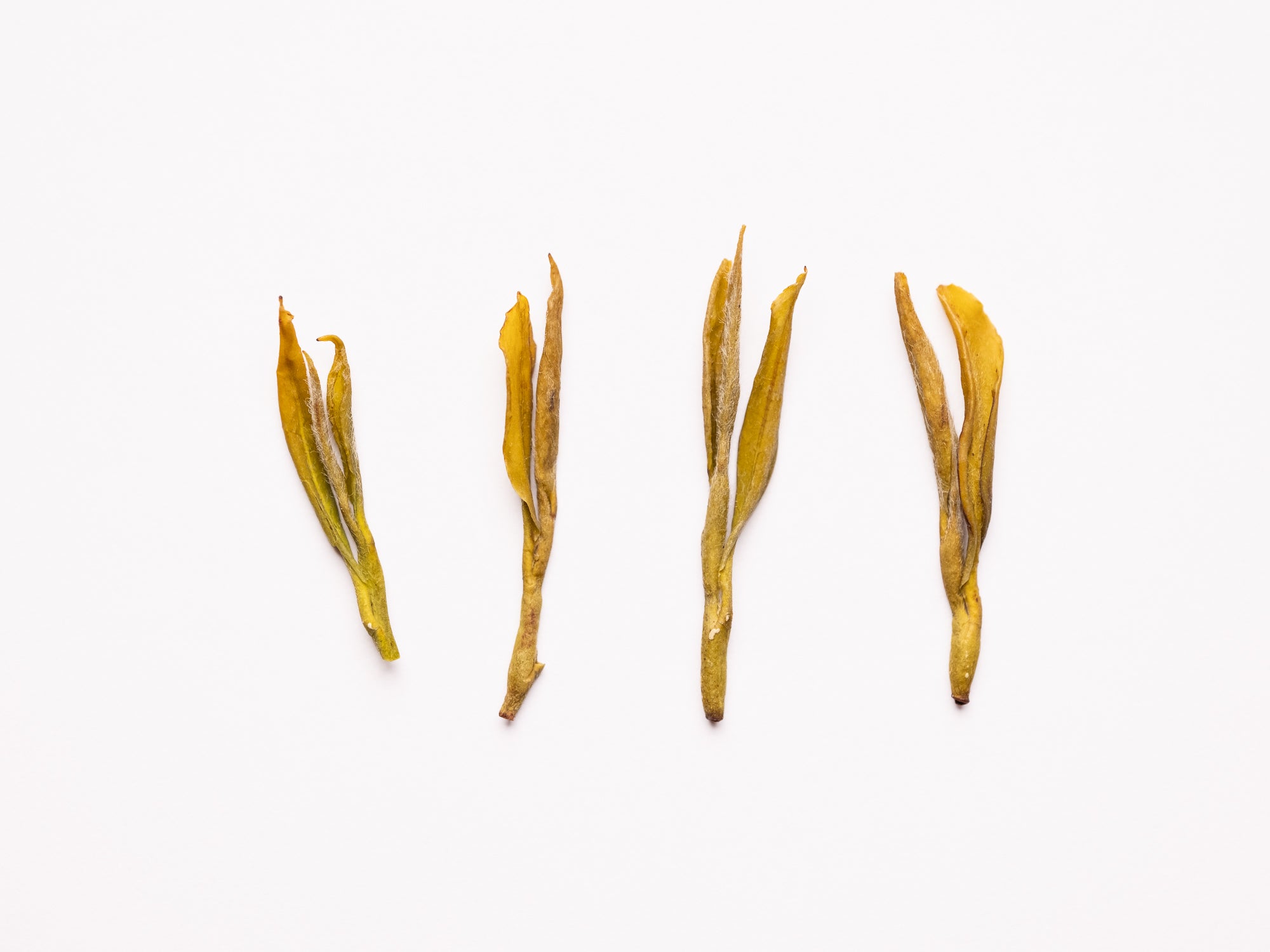 Huang Jin Ya Green Tea