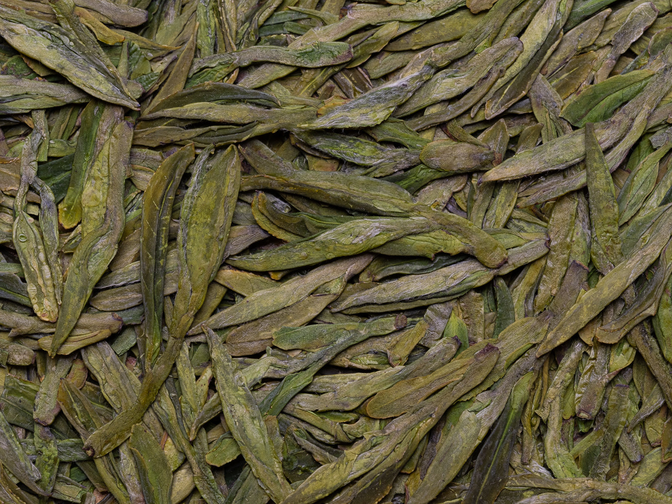 Hojas Longjing #43