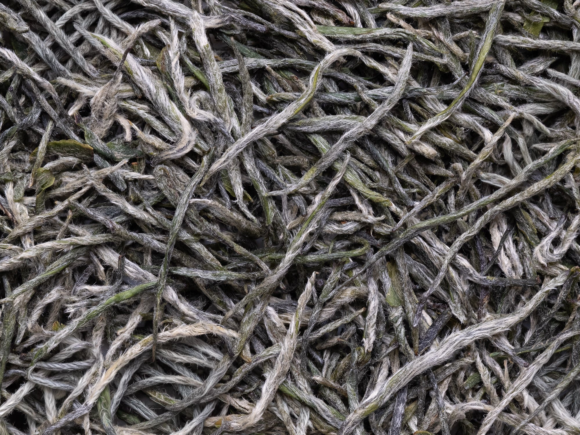 Xinyang Maojian Green Tea