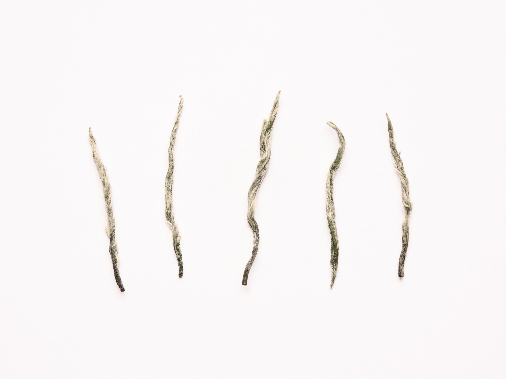 Xinyang Maojian Green Tea