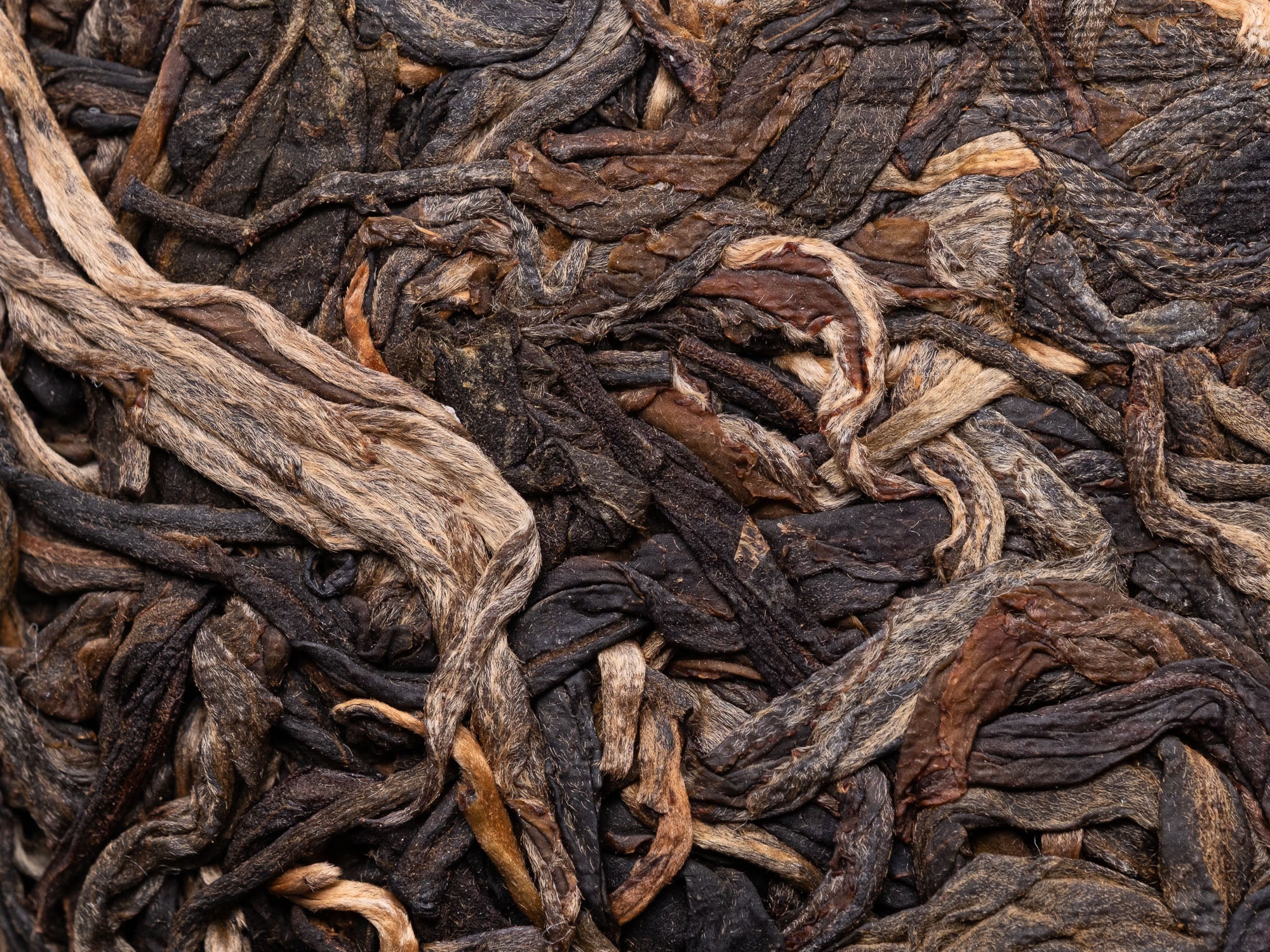 Té Pu-erh Sheng Gushu 2019
