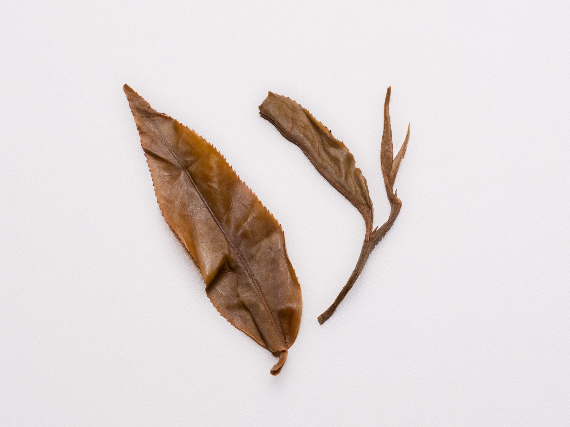 Té Pu-erh Sheng Gushu 2017