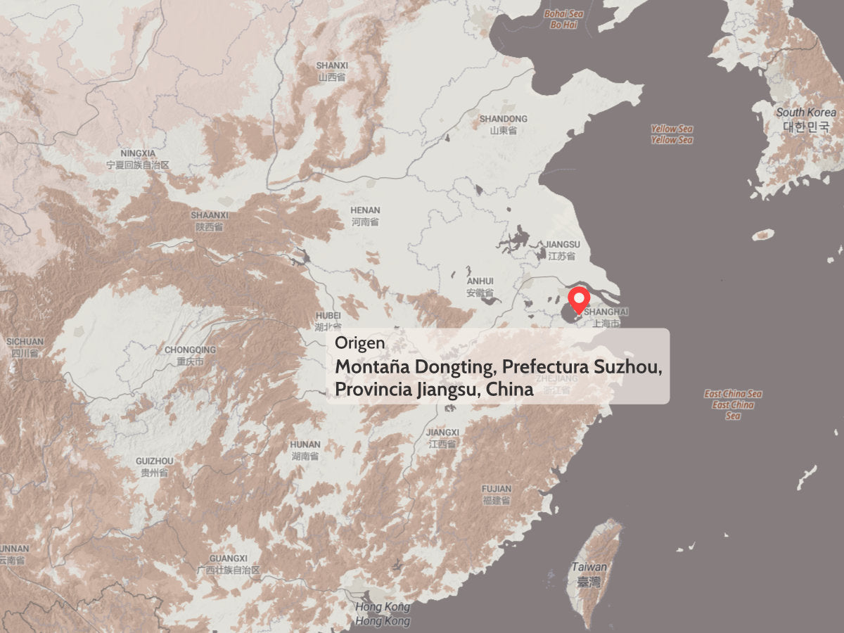 Té Verde Bi Luo Chun