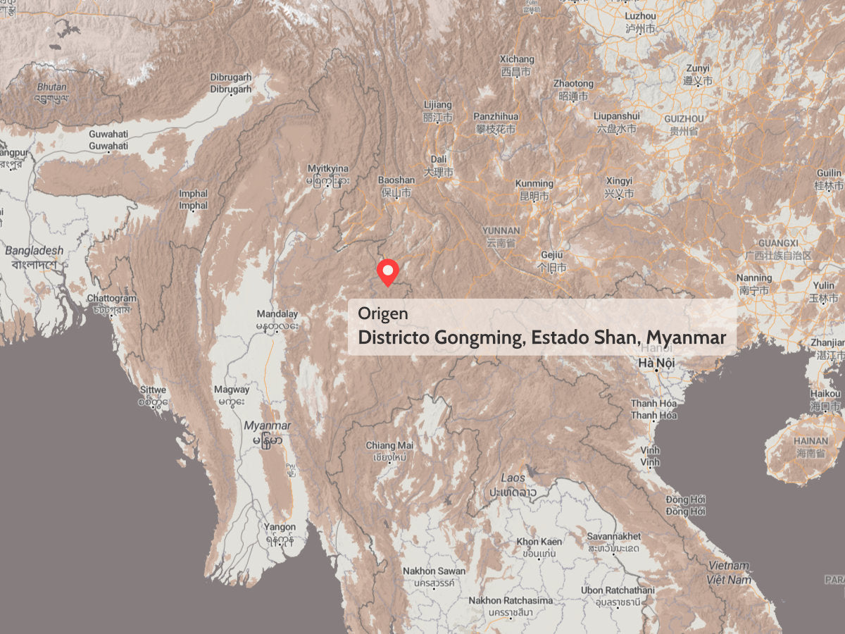 Té Oolong Ruan Zhi de Myanmar