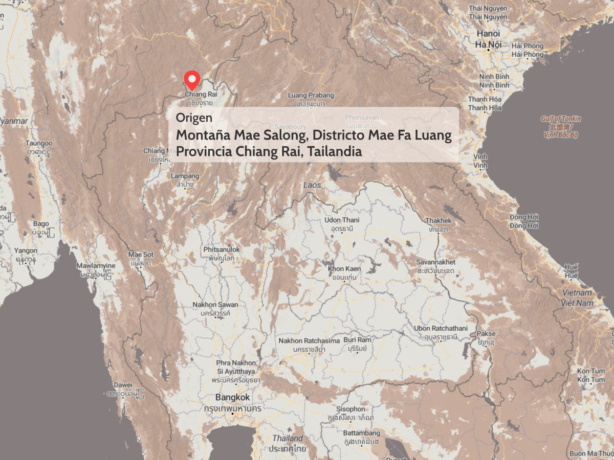 Té Oolong Rojo Jin Xuan de Tailandia