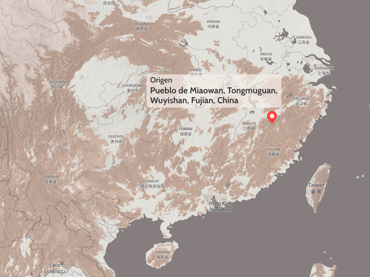 Té Negro Tongmuguan Árboles Centenarios