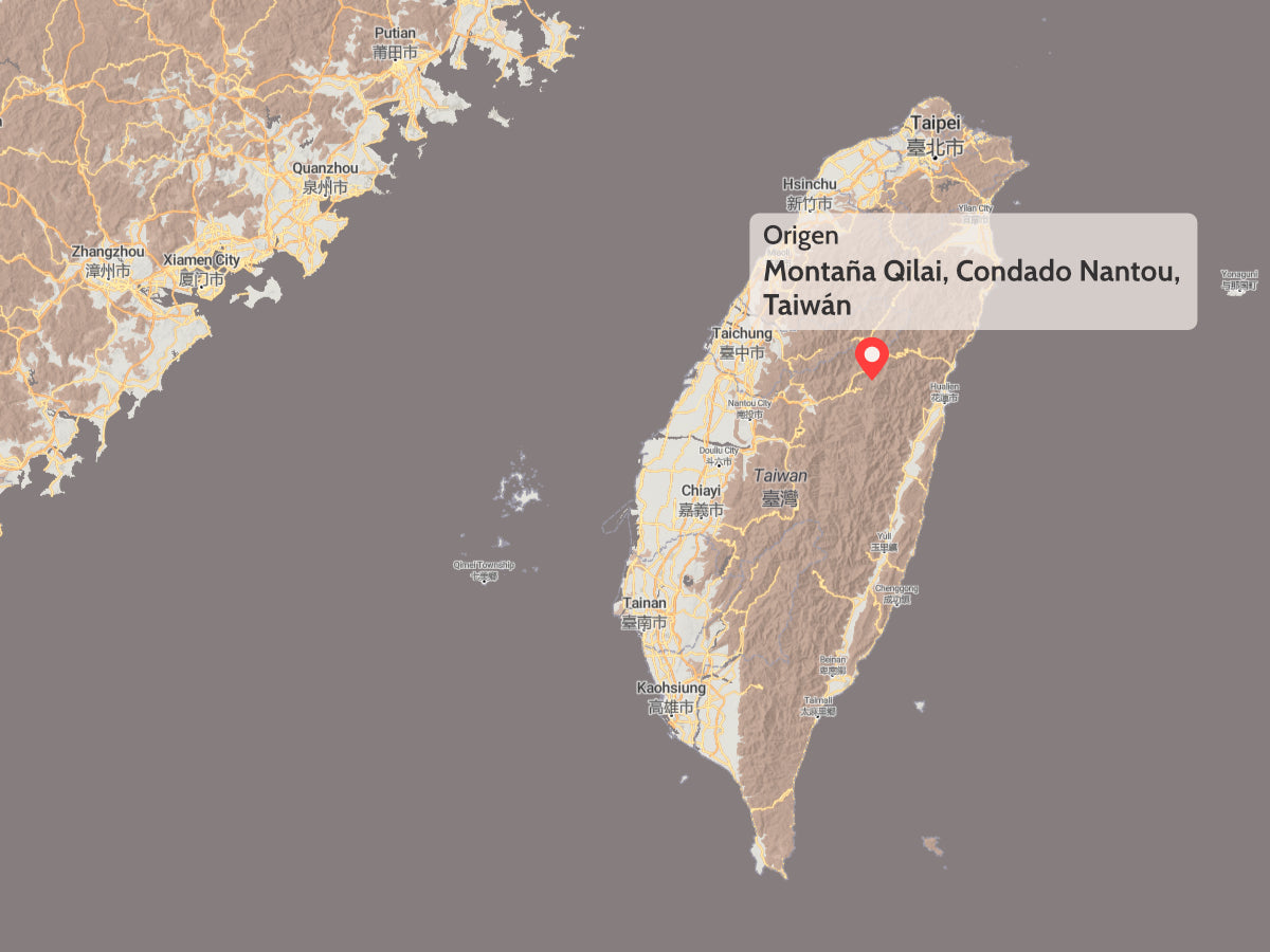 Té Oolong High Mountain Qilai Taiwán