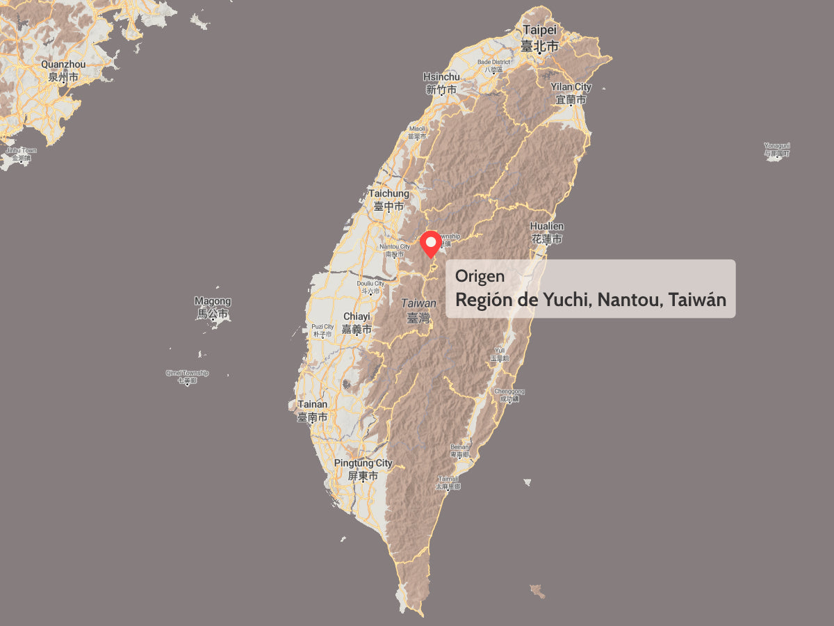 Te Origen Yuchi Nantou Taiwan