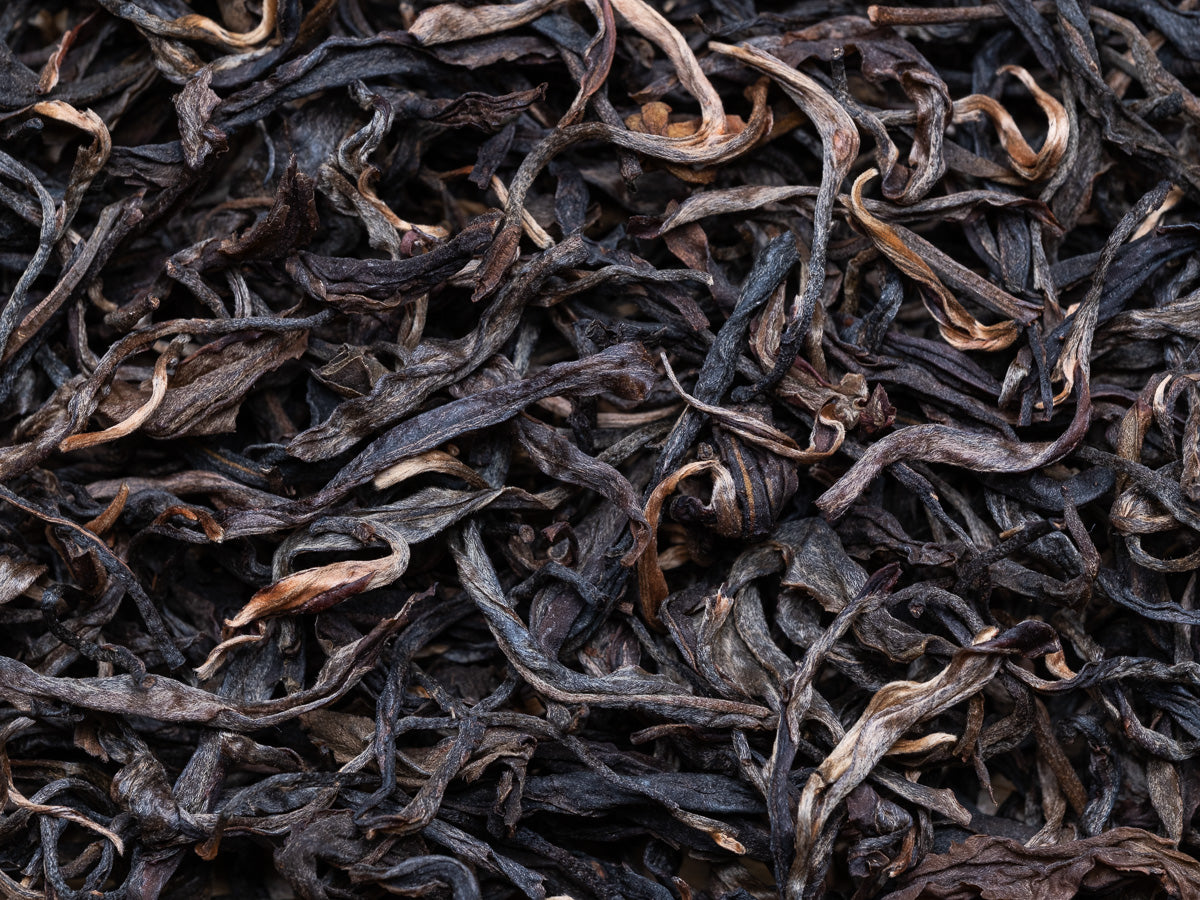 Té Pu-erh Sheng Gushu 2017