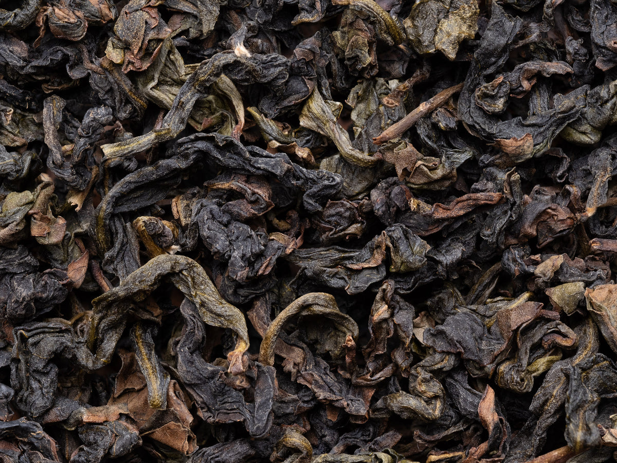 Hojas de te Oolong Meizhan de Anxi de arbustos viejos recuperados