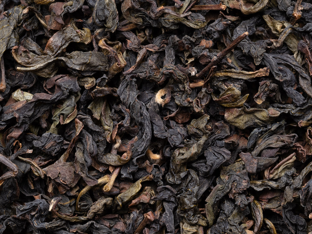Hojas de te Oolong Qunti Zhong de Anxi de arbustos viejos recuperados