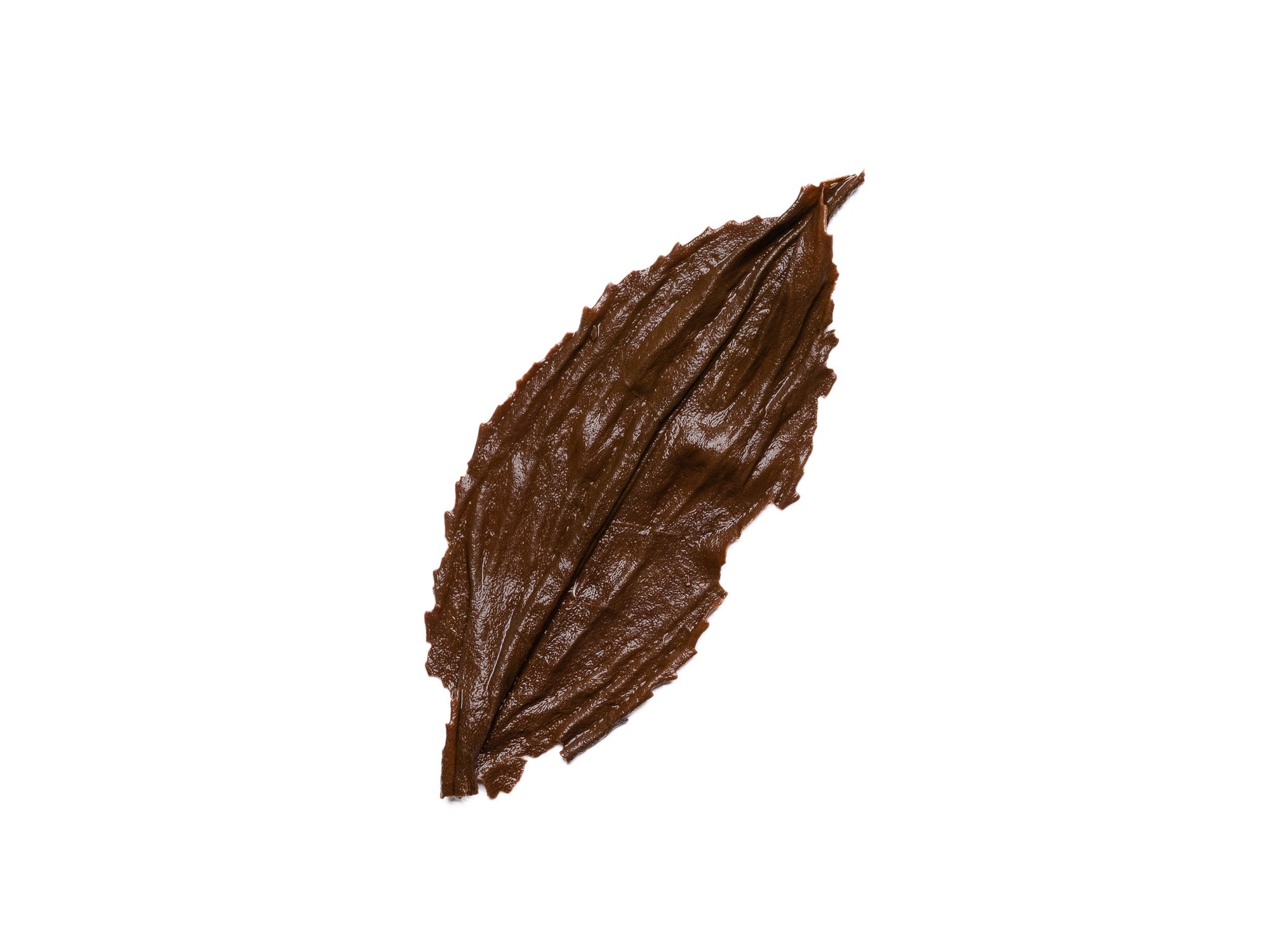 Hoja infusiona de té negro Zhengshan Xiaozhong Ahumado-2012