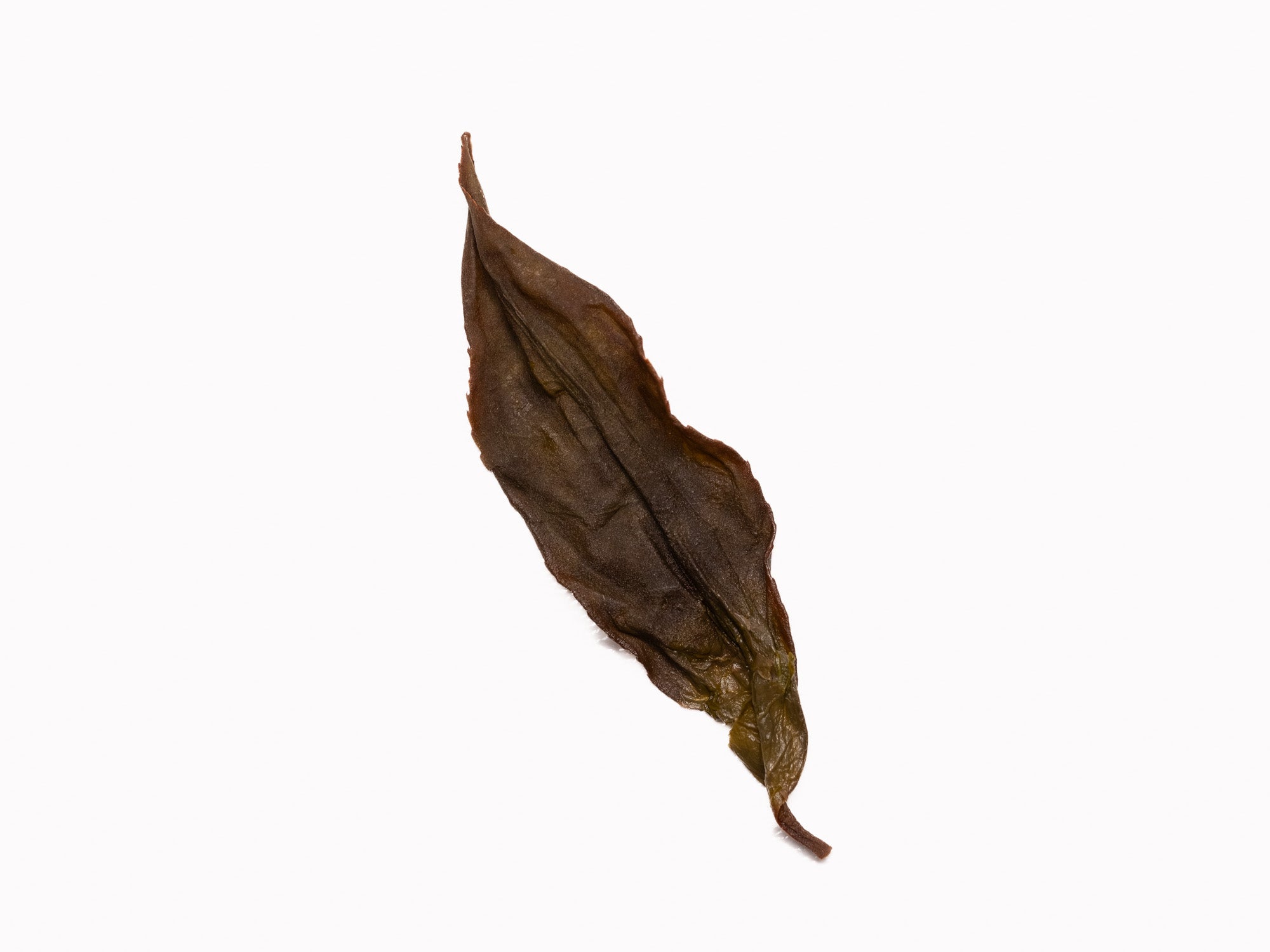 Hoja infusionada de té Oolong Dancong Mi Lan Xiang Laocong de Wudong