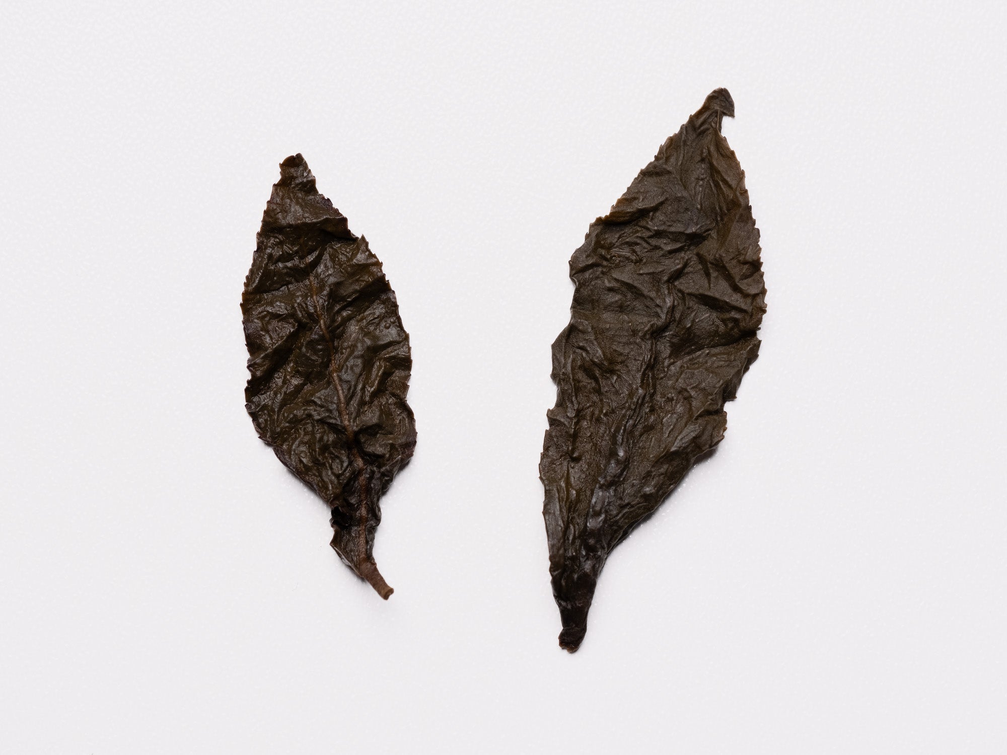 Hojas infusionadas de té oolong Dong Ding de Tailandia