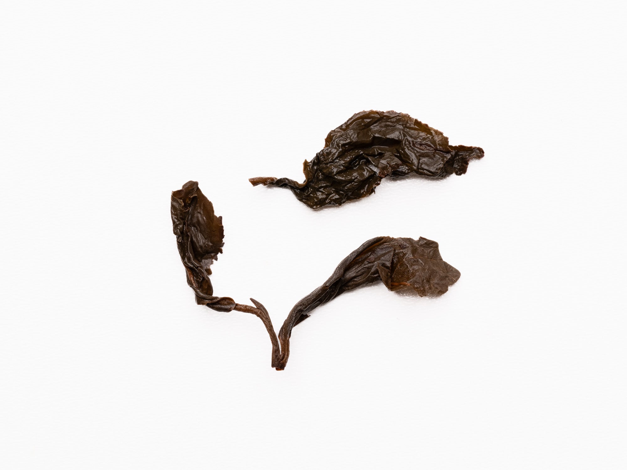 Hojas de té oolong envejecido de Alishan infusionadas