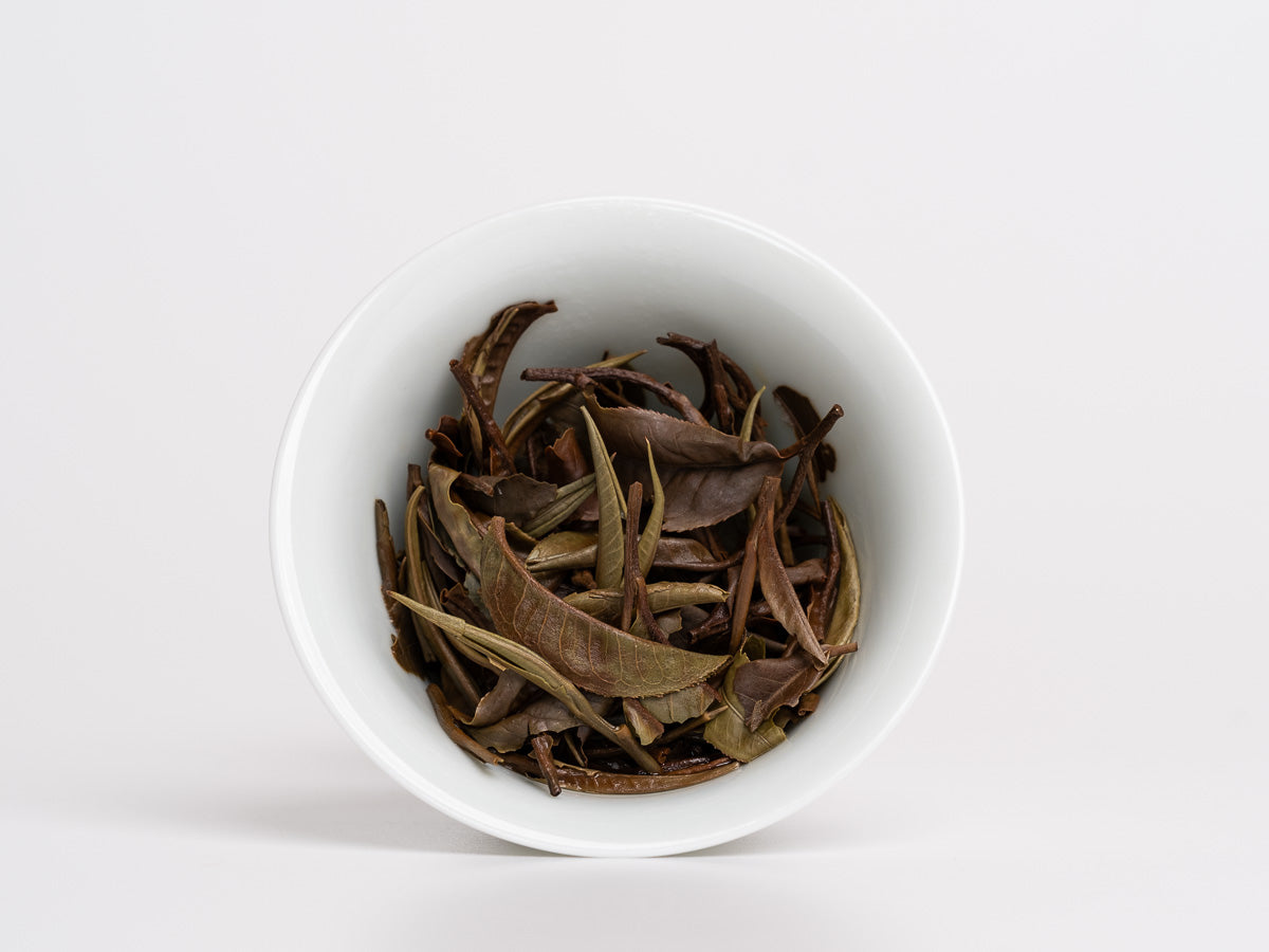 Té Blanco Bai Mu Dan Gushu