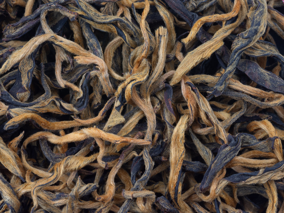 Té Negro Dianhong Gushu
