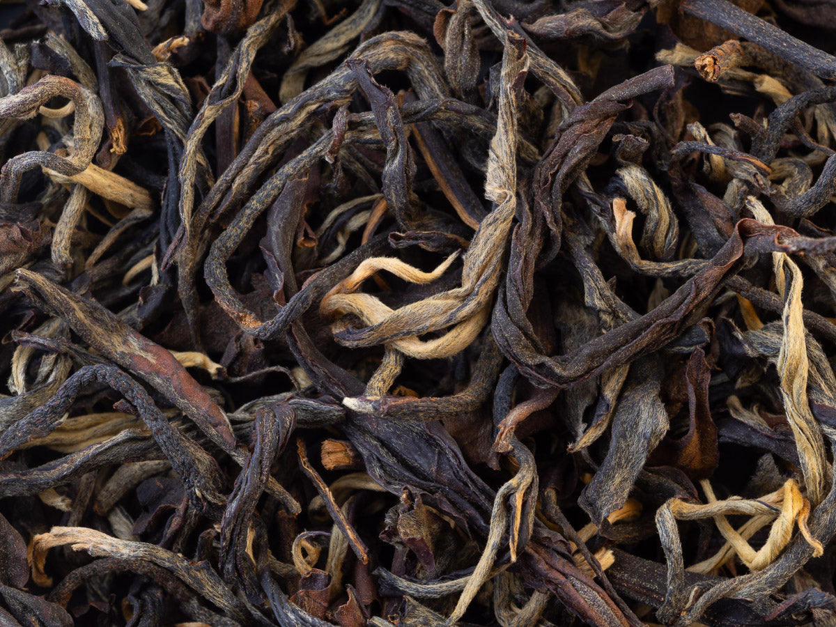 Té Negro Gushu secado al sol