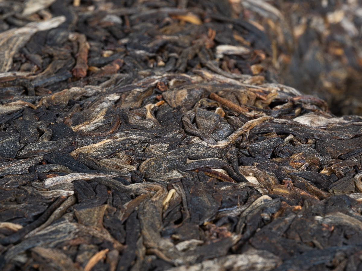 Té Pu-erh Sheng Gushu 2021