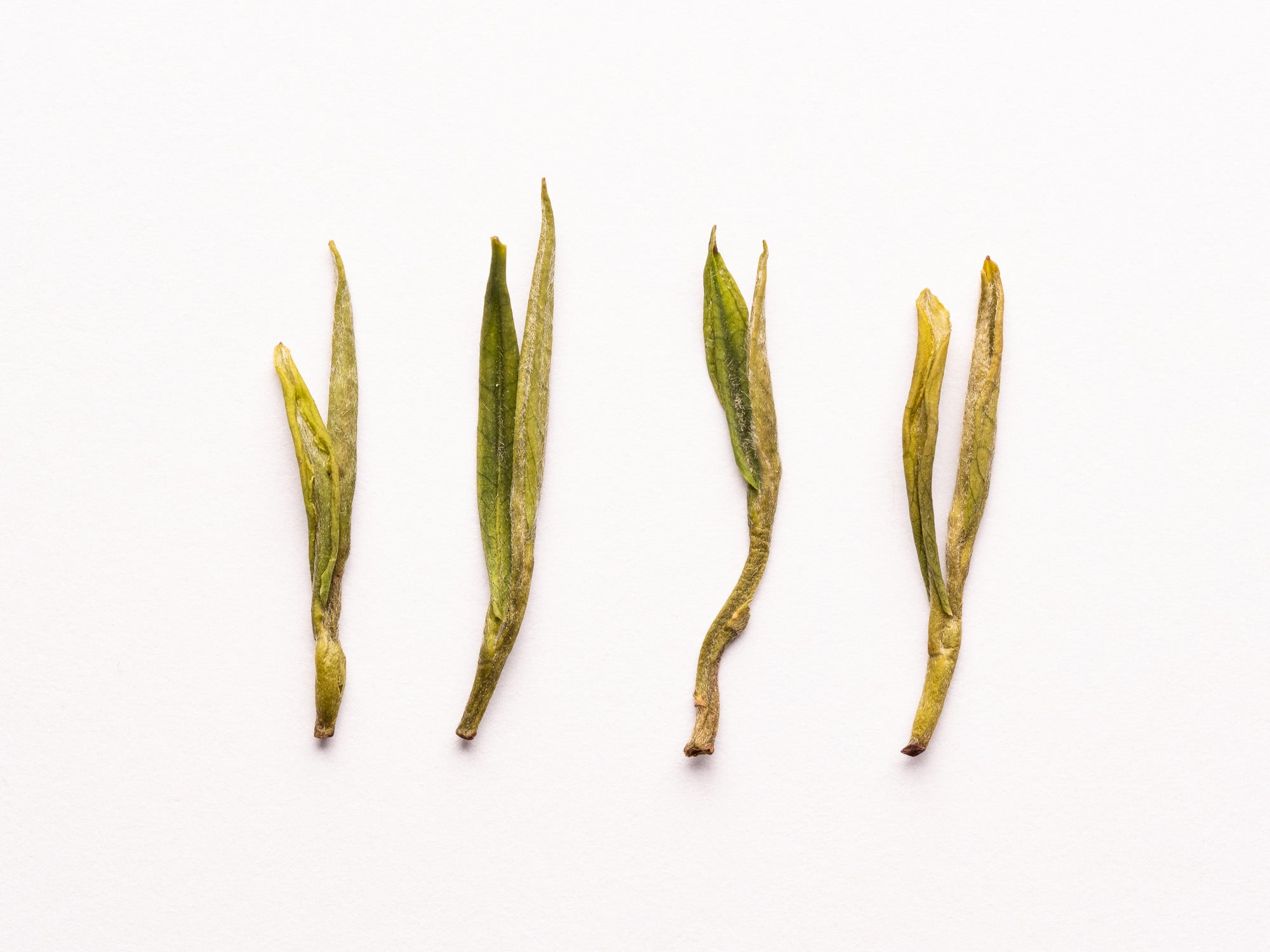Anji Bai Cha Green Tea