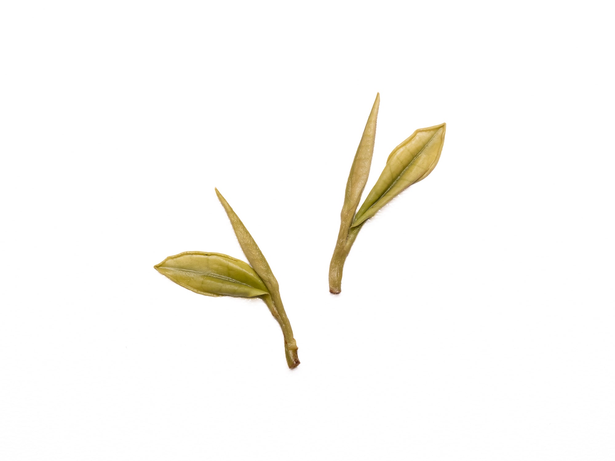 Anji Bai Cha Green Tea