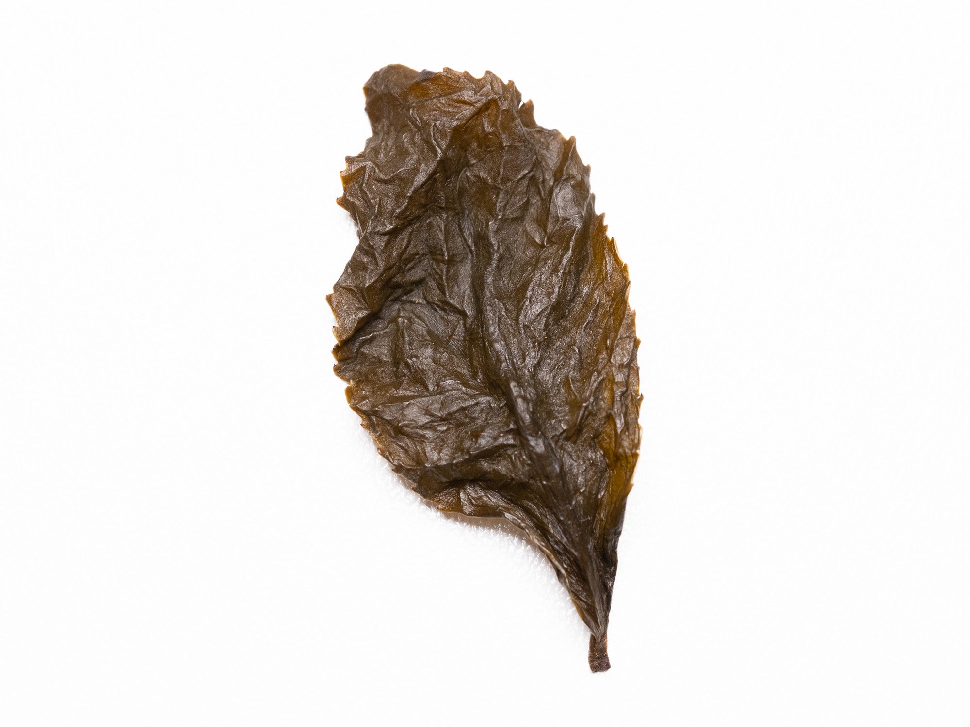 Hoja abierta de te Oolong Tie Guan Yin de Muzha