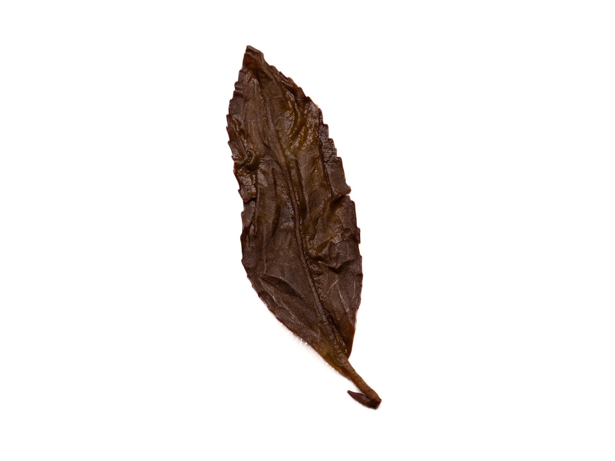 Hoja infusionada de té Oolong dancong Ao Fu Hou