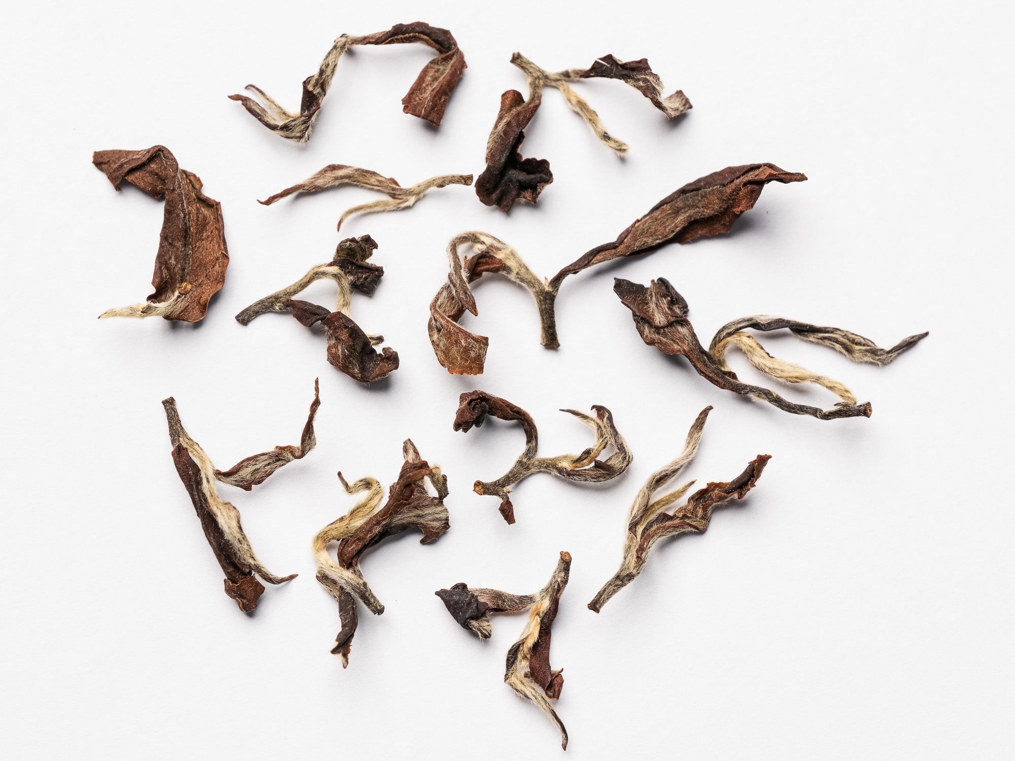 Hojas de te Oolong Oriental Beauty