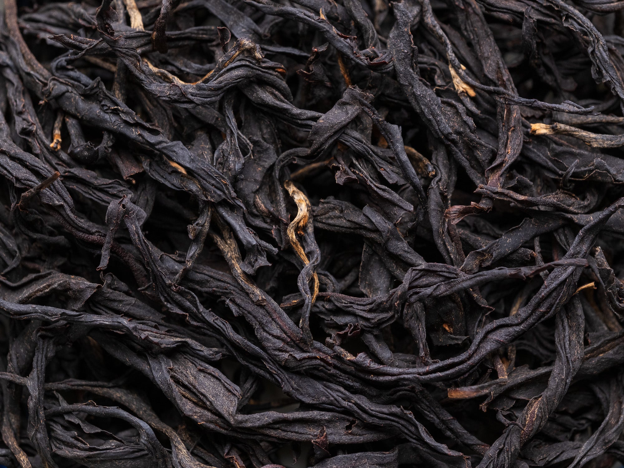 Hojas de te negro Wild Tree Taiwan