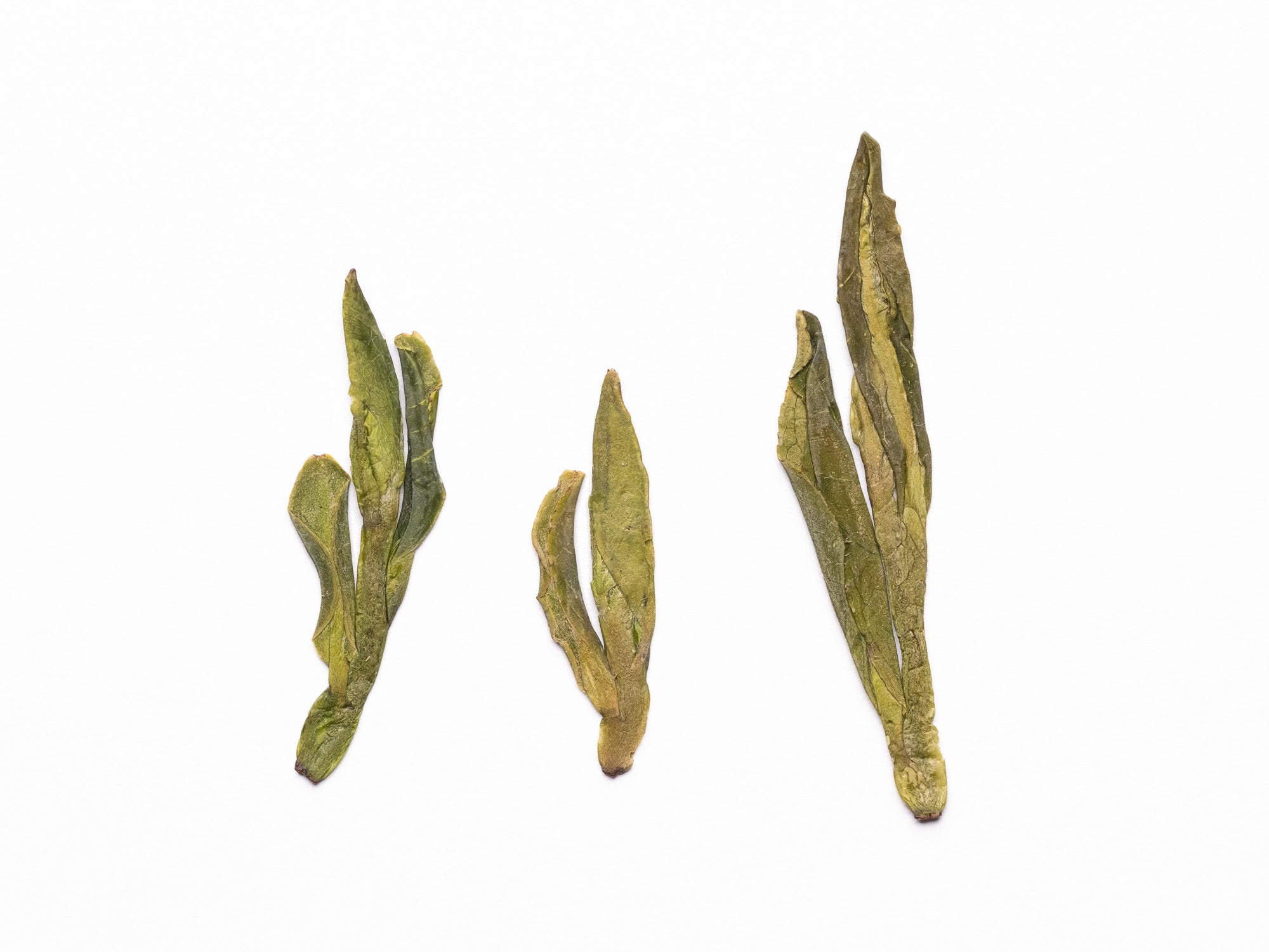 Té Verde Longjing #43