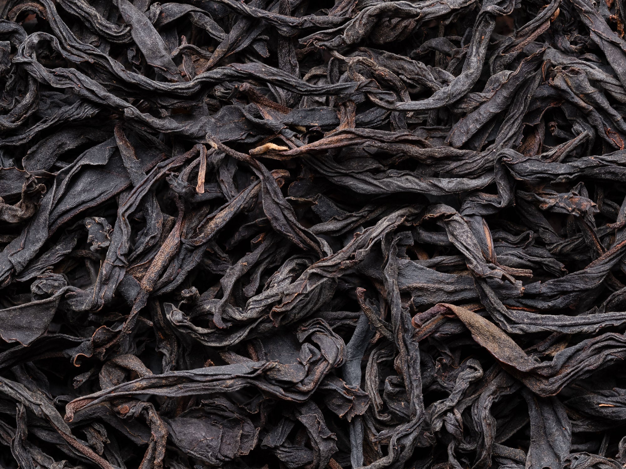 Hojas de té negro Tongmuguan de árboles centenarios
