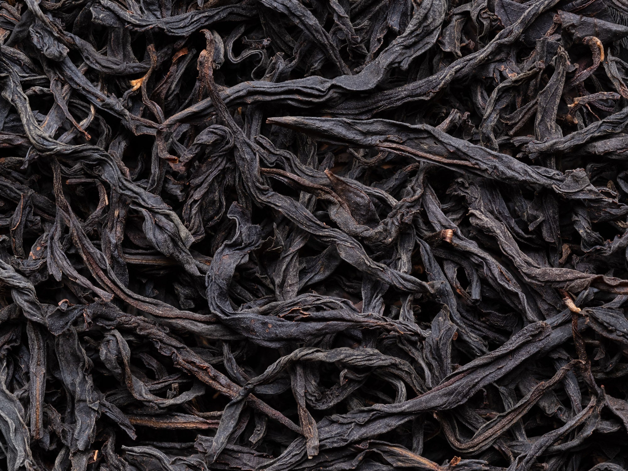 Hojas de té negro Tongmuguan de árboles centenarios estilo Floral