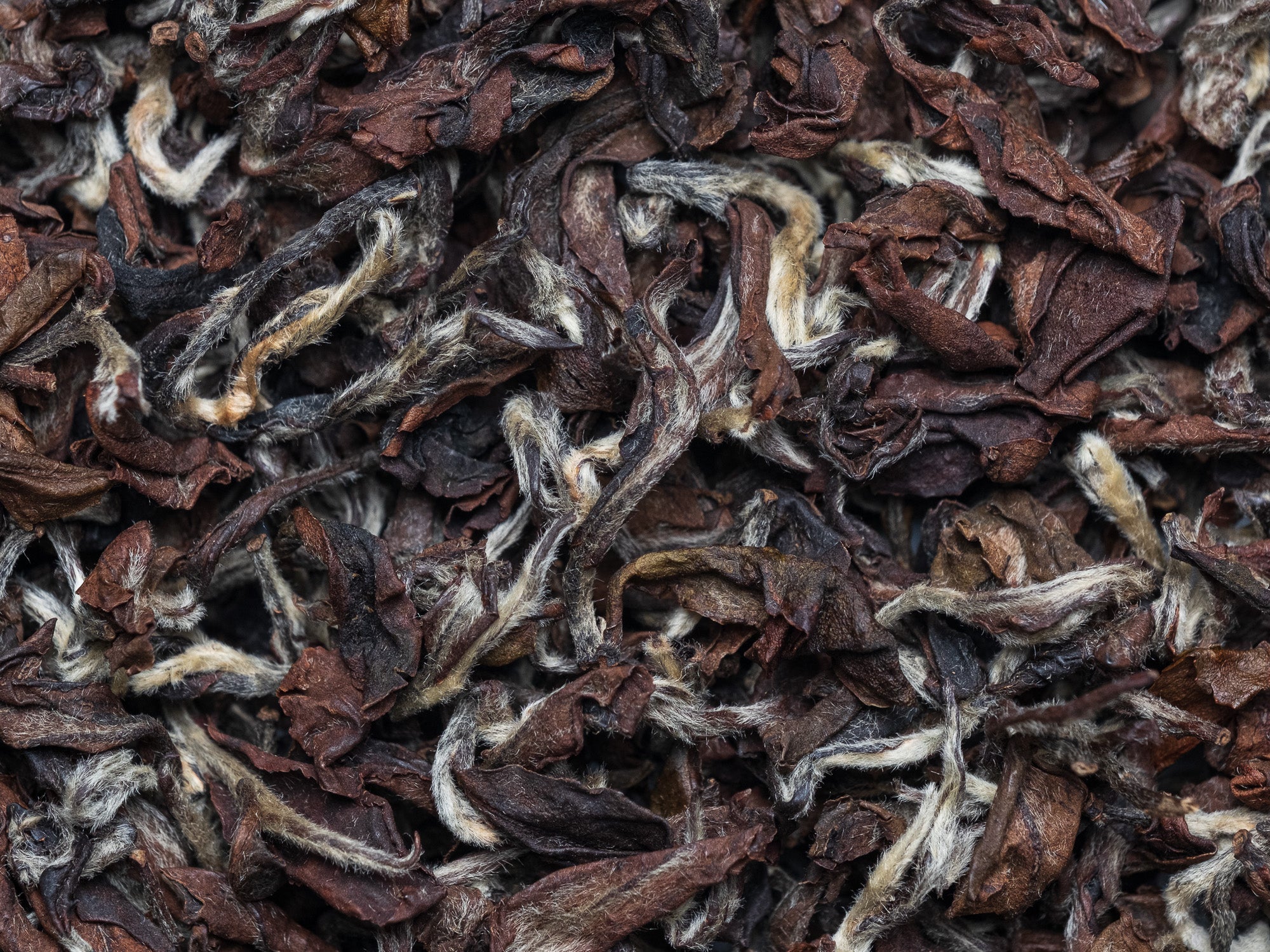 Te Oolong Oriental Beauty