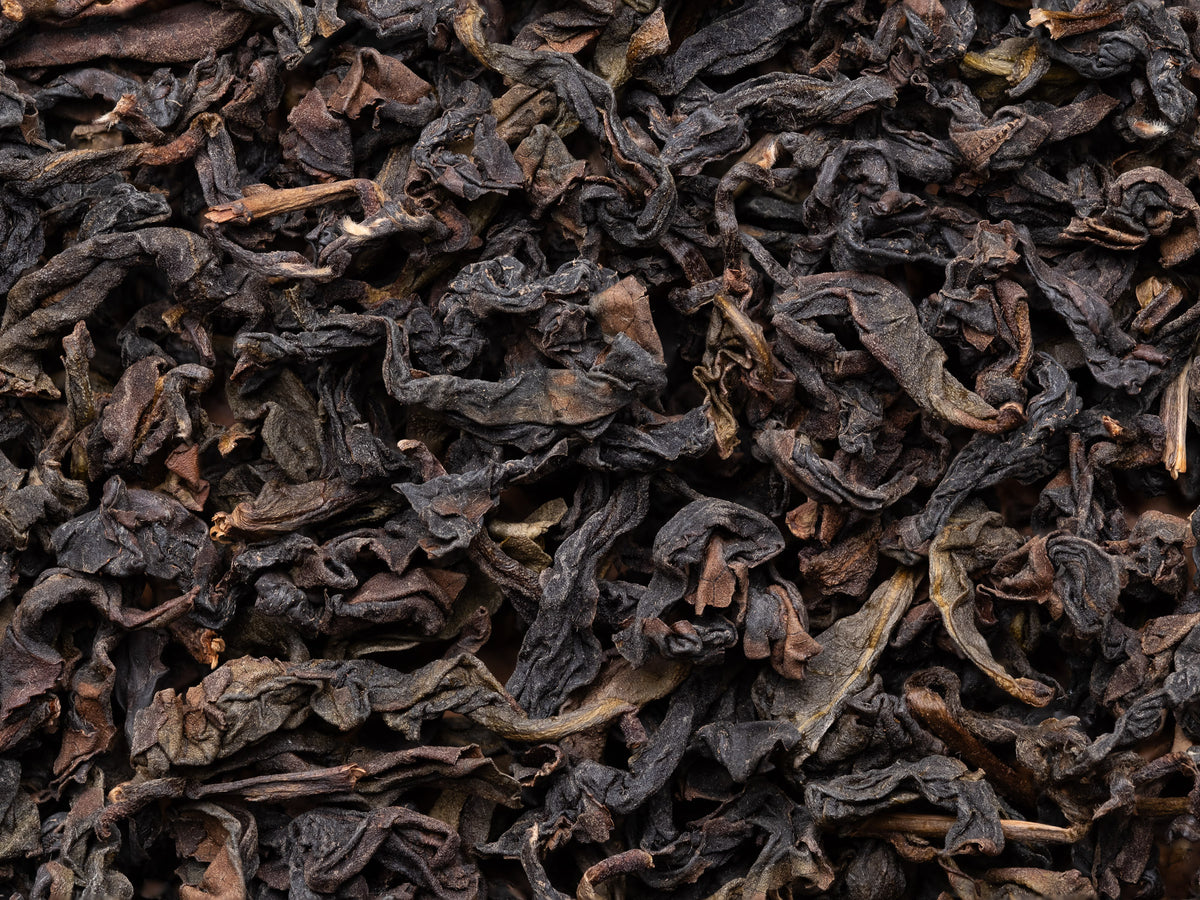 Hojas de te Oolong Tie Guan Yin de Anxi de arbustos viejos recuperados