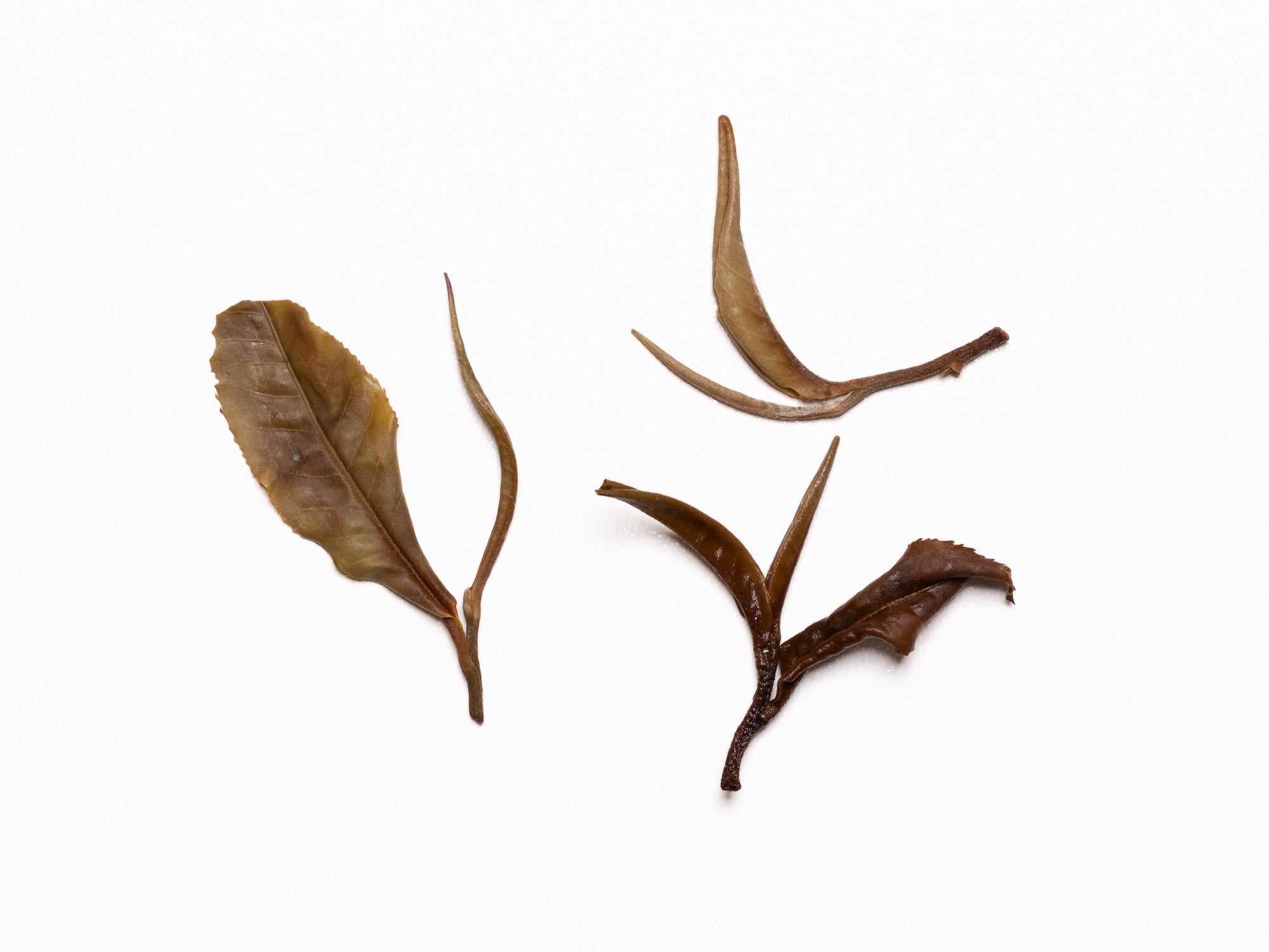 Té Blanco Bai Mu Dan Gushu