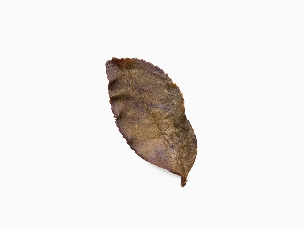 Anxi Tie Guan Yin Oolong Tea - Wild-Grown