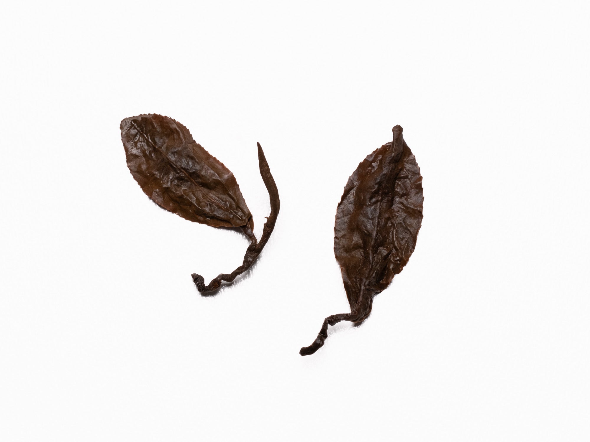 Té Oolong Rojo Jin Xuan de Tailandia