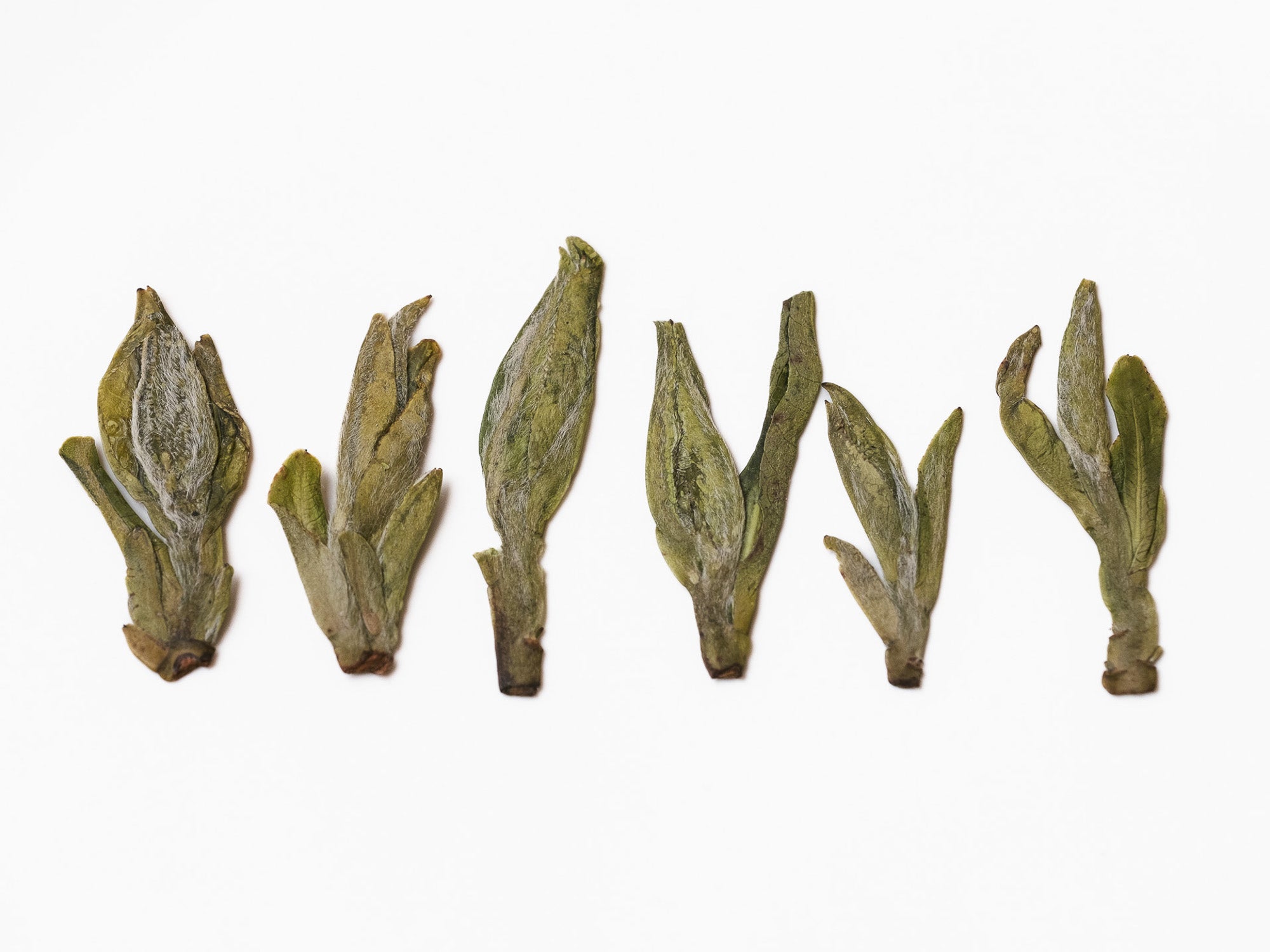 Té Verde Wu Niu Zao