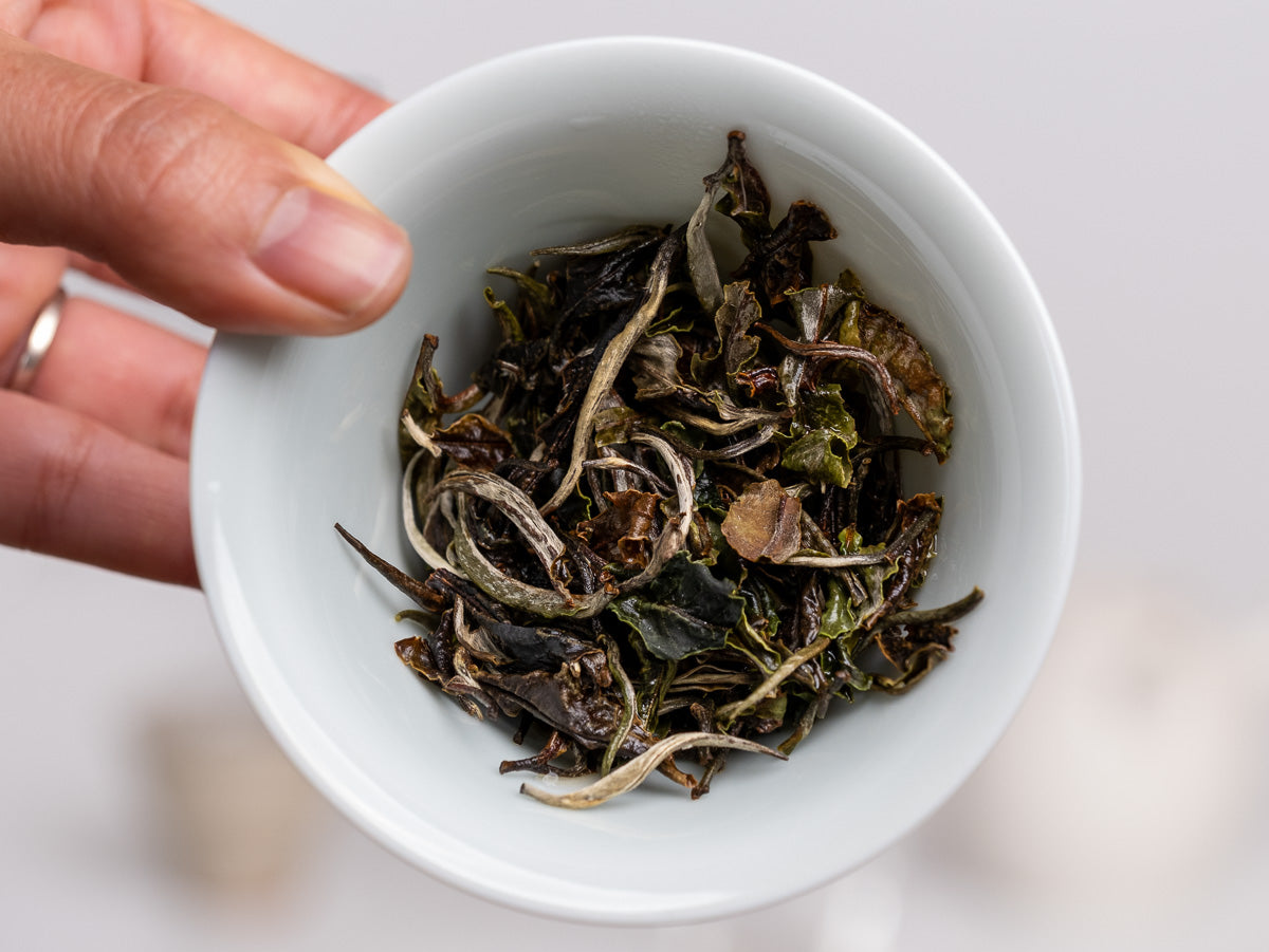 Té Blanco Bai Mu Dan Gushu