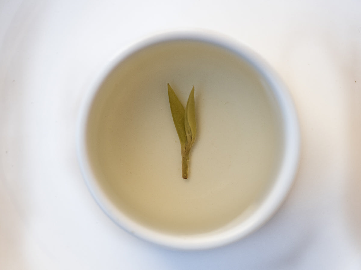 Té Verde Wu Niu Zao