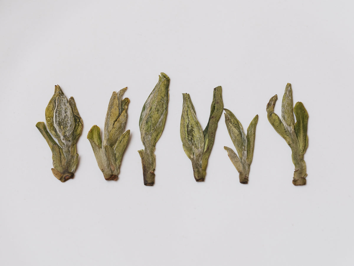 Té Verde Wu Niu Zao